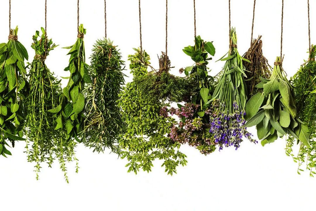 extrait d'herbes tropicales en Eroboost